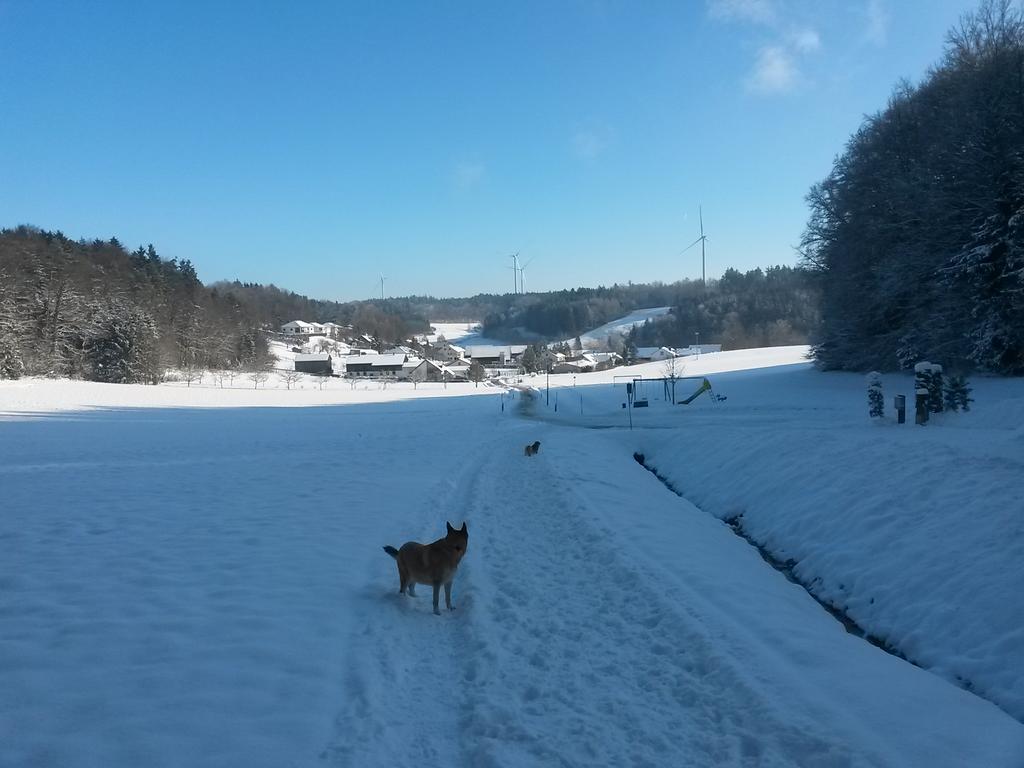 Ferienwohnung Am Kapellenaecker Neumarkt in der Oberpfalz Dış mekan fotoğraf